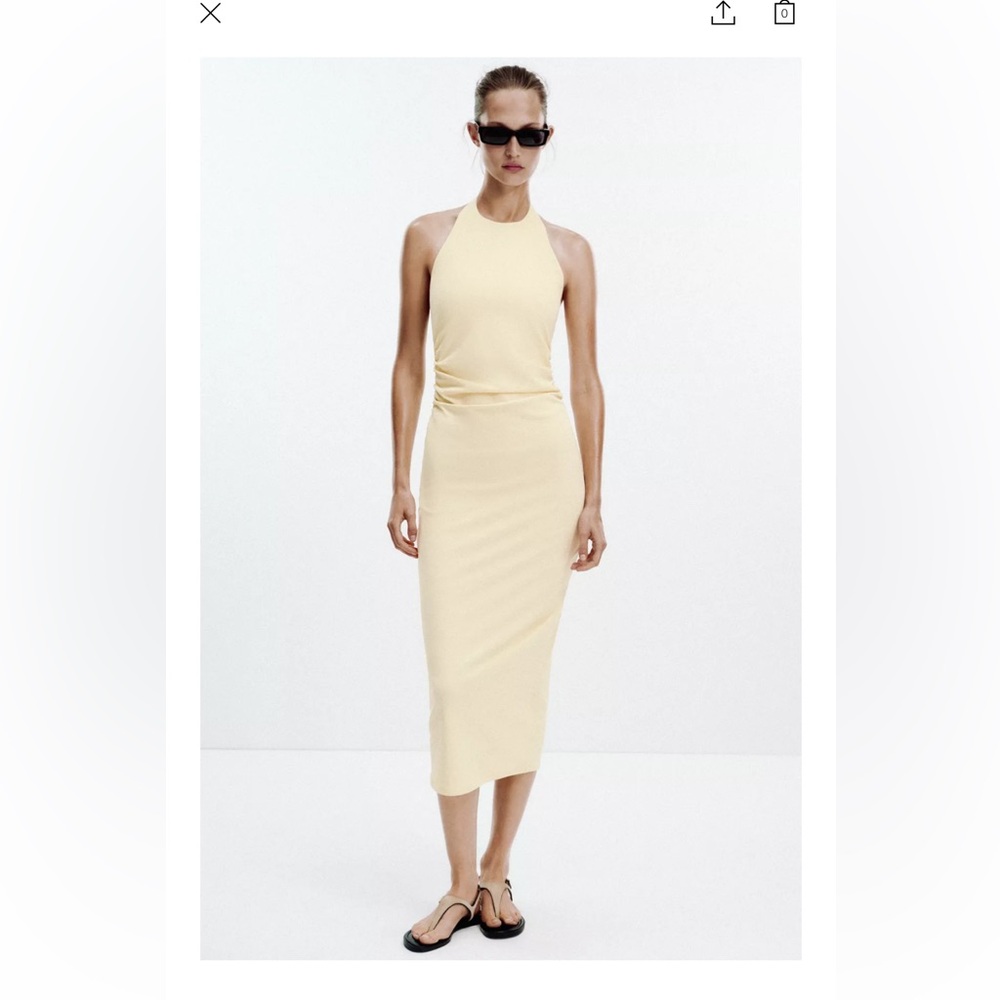 Zara Drapes Halter Dress